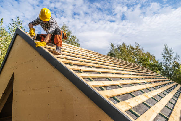 Roof Gutter Cleaning in Telford, PA